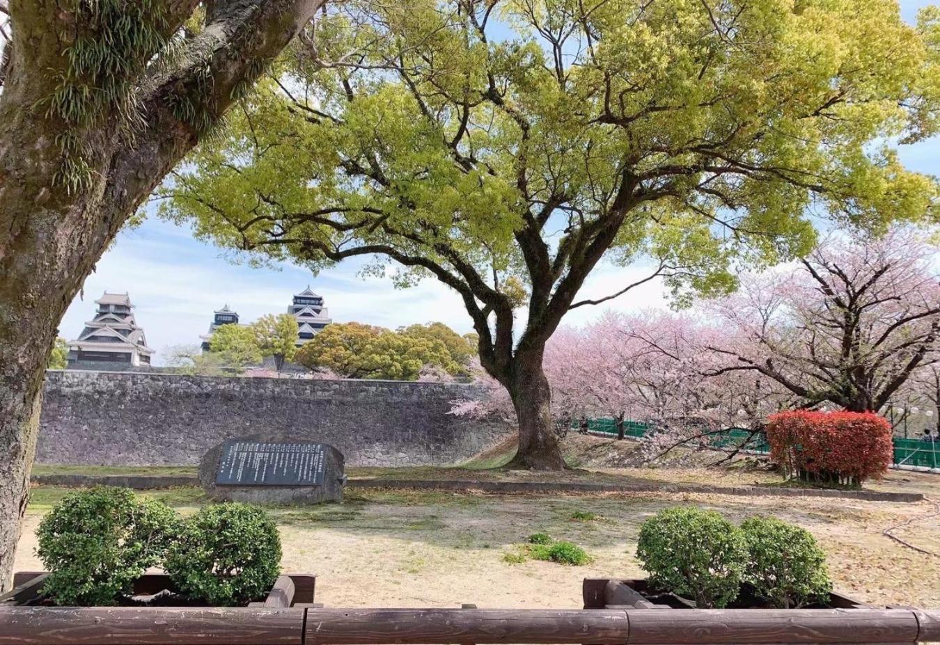 Chambord Kyomachi 102 - Vacation STAY 67038v Kumamoto Esterno foto