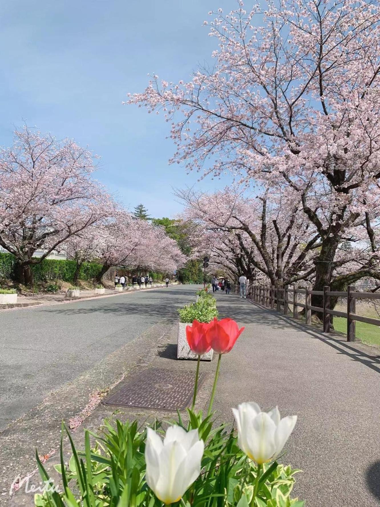Chambord Kyomachi 102 - Vacation STAY 67038v Kumamoto Esterno foto